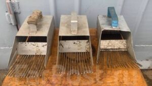 Штраф и конфискация: чем грозит сбор ягод &laquo;совком&raquo; на Камчатке