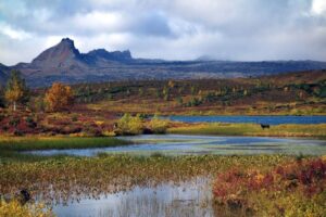 Тайны озер Камчатки: ученые ищут эндемичных рыб в парке &laquo;Быстринский&raquo;