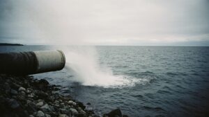 Загрязнение Авачинской губы: суд обязал водоканал выплатить 1,3 млн рублей