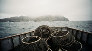 Уловы краба у берегов Камчатки незначительно уступили прошлогодним