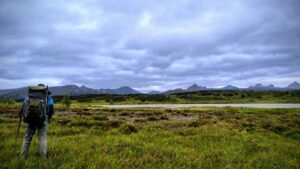 Экспедиция на Камчатке: как мерзлота формирует ландшафт тундры