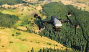 Лесные службы Камчатки получили беспилотники для мониторинга