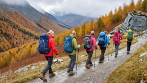 Парк &laquo;Вулканы Камчатки&raquo; временно ограничил доступ для туристов