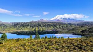 Извержение вулкана создало на Камчатке &laquo;вечно молодых&raquo; рыб