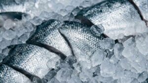 Камчатский бизнес обязали перерабатывать уловы на береговых рыбозаводах