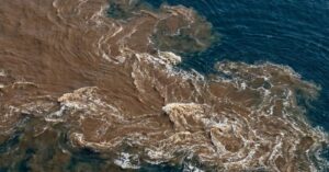 Вулканы Камчатки удобряют океан и повышают биомассу зоопланктона