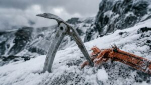 Гид отправится в колонию за смерть туристов на камчатском вулкане