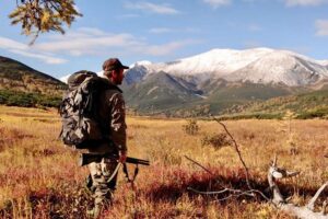 Кроноцкий заповедник отчитался о снижении уровня браконьерства