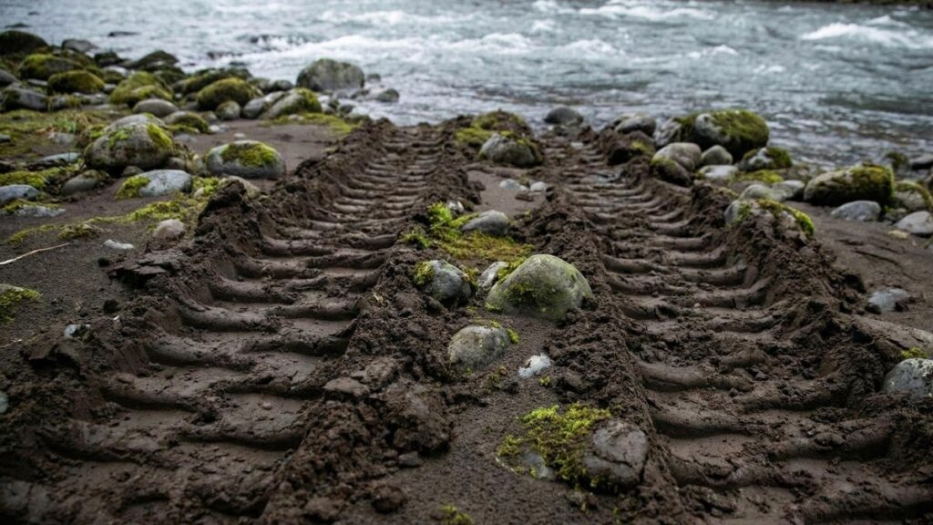 На Камчатке проверяют законность работ в устье нерестовой реки