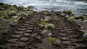 На Камчатке проверяют законность работ в устье нерестовой реки