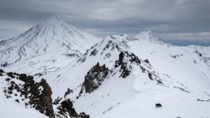 Снег меняет расписание: когда проснется фауна Камчатки