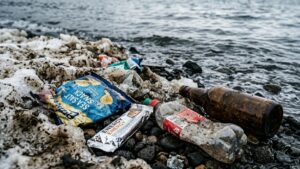 Власти Камчатки ищут виновников свалки на Никольской сопке