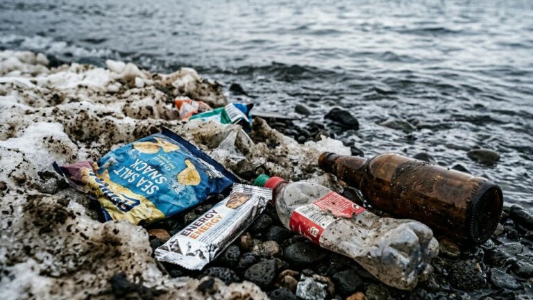 Власти Камчатки ищут виновников свалки на Никольской сопке