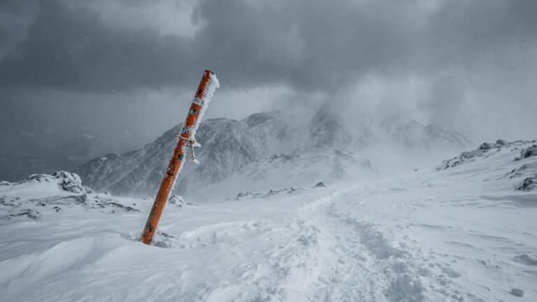 Трагедия в Налычевском парке: поход без палатки унёс жизни двух туристов