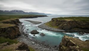 Торги Росрыболовства: бизнес выкупил половину рыболовных участков на Камчатке