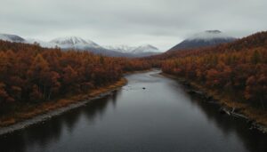 Итоги лососевой путины на Камчатке: улов оказался вдвое ниже прогнозов