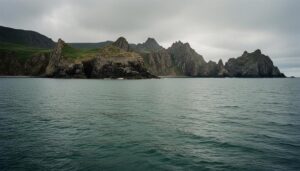 В Авачинской губе нашли водоросли: в 2020 году они привели к гибели фауны
