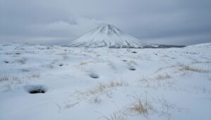 Берингийские суслики на Камчатке ушли в восьмимесячную спячку